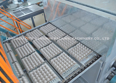 Paper Product Making Machine , Paper Pulp Molding Machinery 30,18,12,6 eggs
